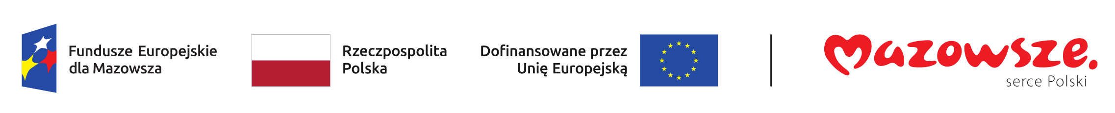 karta wizualizacji znaku dla fem 2021 2027