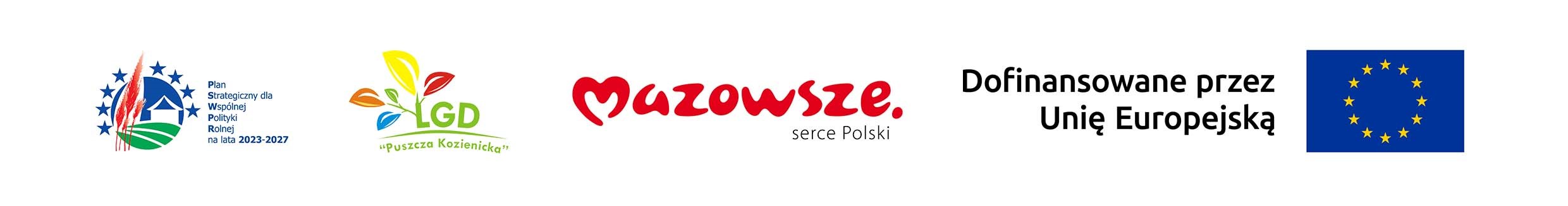 pasek loga LSR PSWPR 2023 20271