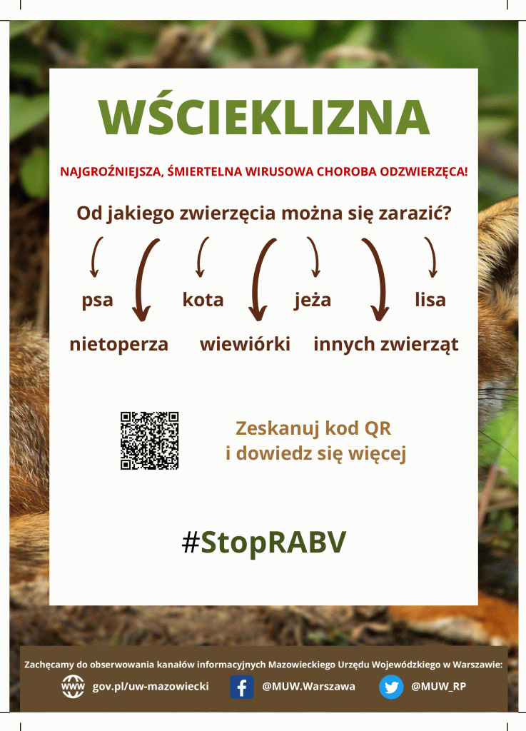 plakat wscieklizna.1.1 737x1024