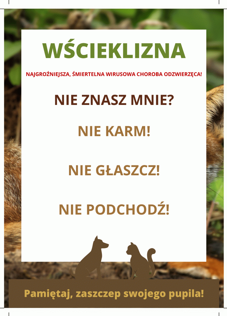plakat wscieklizna.1.2 737x1024